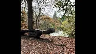 Autumn leaves on the River Ness Islands