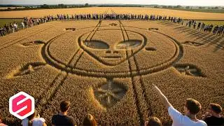 ILMUAN GEMPAR! Crop Circle Ini Mengandung Kode Rahasia