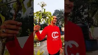 Ronti Cumilla New Shorts  &hearts;#কুমিল্লা#shorts#sameer  #samee #love