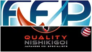 QN UPDATE - USA 300+ BOX SHIPMENT!! JAPAN TRIP!!!