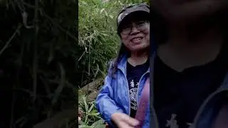 Prepping for Pandas: Continued Conservation