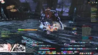 TERA: Emp Sorc Dreadnaught NM #8
