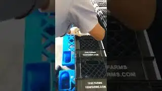 Printing on Plastic Crates