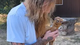 История о дрожащих ногах