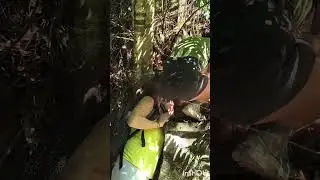 2025 05 Resgate do beb&ecirc; pregui&ccedil;a no PNTijuca