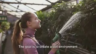 Water-Saving Techniques for Dry Climates: Xeriscaping