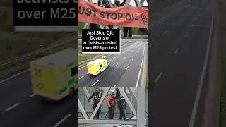 Some of the best headlines today | Always with humor | Gray News