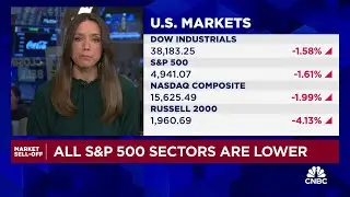 2024 playbook may mirror 2023 until there's a break in economic data: NY Life Investments' Goodwin