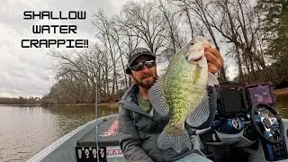 You Won't BELIEVE How Shallow These CRAPPIE Were In The WINTER!