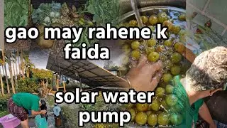 GAO MAY RAHENE K FAIDA II SOLAR WATER PUMP #vlog 