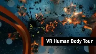 Take A Tour Of The Human Body With The Help Of Virtual Reality