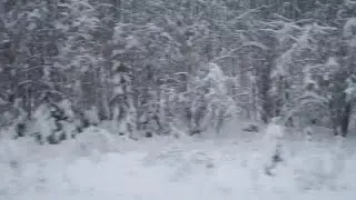 8hours | Relaxing Interior Train Ride Winter View | Deep Sleep