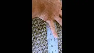 Hand Size of Middleweight Armwrestler!  #armgame #strength #armwrestling