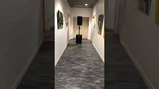 Sound system Devine onyx 15s & Onyx 12 powered by MDM 4x900
