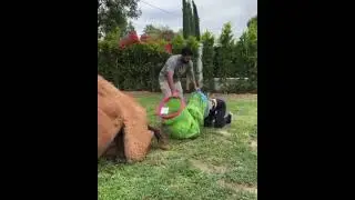 Animal Poop Prank And He Got Her Real Good 😅😅