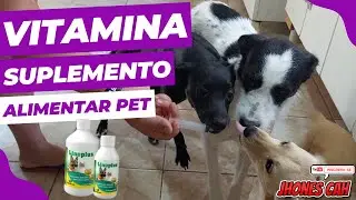 VITAMINA SUPLEMENTO ALIMENTAR PARA SEU PET