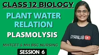 Class 12 | Plant Water Relation | Plasmolysis | Session 6 | Gyanlab - Anjali Patel |
