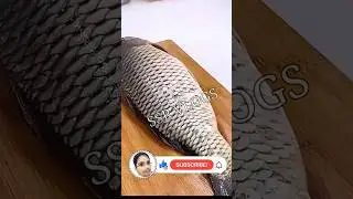 #Fast Remove Fish Skin Brush Plastic Fish Scales Graters. SSR VLOGS