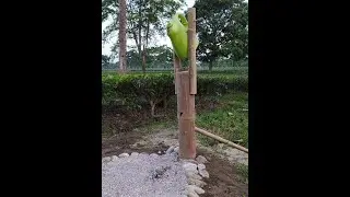 The compact Tippy Tap!