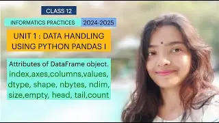 CLASS 12 IP | UNIT 1 PYTHON PANDAS | Attributes of DataFrame object.