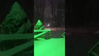 Green Light Snow NO SOUND