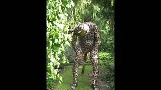 Morphsuit im Garten 48