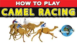 How Camel Racing is Done? (a professional event in Middle East where camels are raced for bets)