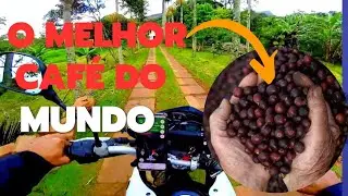 Ep. 13 - Conheça a fazenda de café Ninho da Águia em Minas Gerais!
