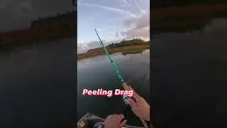Name a better sound than Peeling Reel Drag!