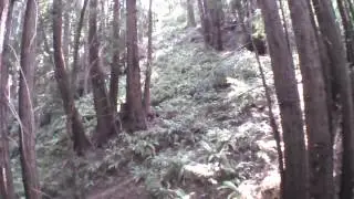 Lodato Trail test
