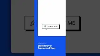 Button Hover Animation Effect | solidpixels tips