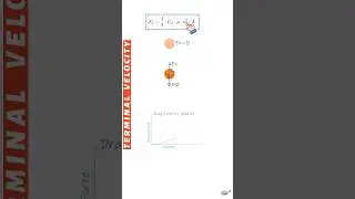 Drag Force and Terminal Velocity (FAST PHYSICS)