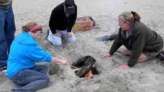 Starting a fire on the beach