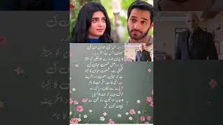 Jinn Ki Shadi Unki Shadi Credit Controversy | Shamoon Abbasi Claims He Is The Real Writer