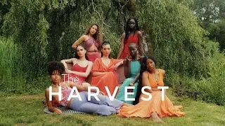 The Harvest
