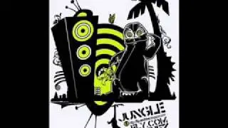 Dred-E Maximum vs. Sister Nancy - Bam bam (jungle remix)