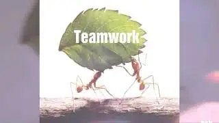 ANT Teamwork video