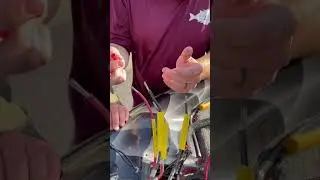 Had a connection burnout. Rewiring the trolling motor to power.