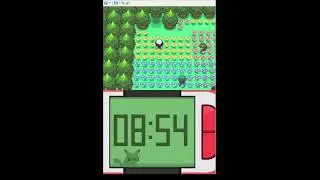 Pok&eacute;mon Platin 50% Randomizer Hardcore Nuzlocke Challenge 2.2. | Part 2 | Arena 2