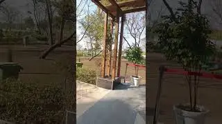 EXPLORING DEHRADUN 'S HIDDEN GEM (CITY FOREST PARK)