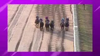 11/18/2025 Finger Lakes Racetrack (up to 10 second delay)
