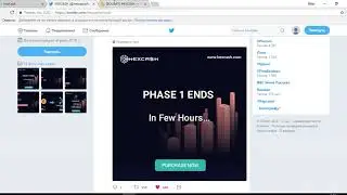 HexCash - обзор twitter и баунти компании проекта(author KuldaMax)