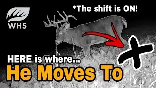 How To Hunt A Buck's Fall Pattern