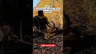 POV Bowhunting Whitetails off the ground!!! Public land style!!