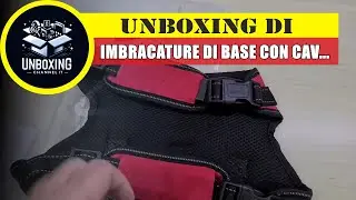 ACE2ACE Imbracature di Base con Cavezza Rosso M