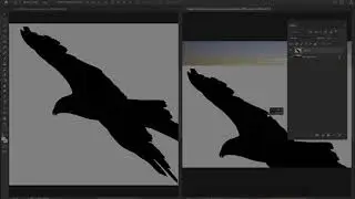 Adobe Photoshop Practice Tutorial for Complete Beginners