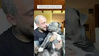 This man adopted a pitbull suffered from mental crisis #shorts