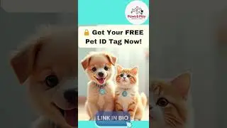 Why Every Pet Needs This ID Tag