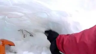 Snowclaw против Avalanche Snow Shovel