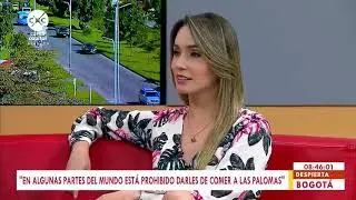 Palomas en la Plaza de Bol&iacute;var - Clara Luc&iacute;a Sandoval - Despierta Bogot&aacute;